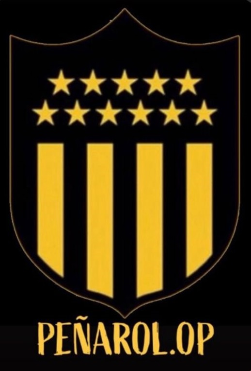 http://esumula.fmf.com.br/Escudos/Foto_Logo_13960.jpeg