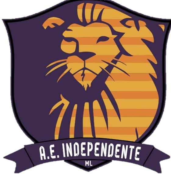 http://esumula.fmf.com.br/Escudos/Foto_Logo_16223.jpg