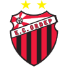 http://esumula.fmf.com.br/Escudos/Foto_Logo_7711.png