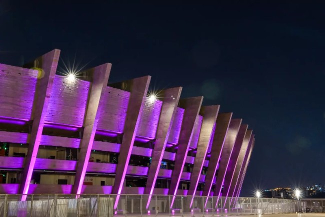Mineirão e Arena MRV se iluminam de roxo em ação promovida pela FMF